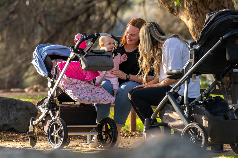 Two women with a child in a stroller in a park setting